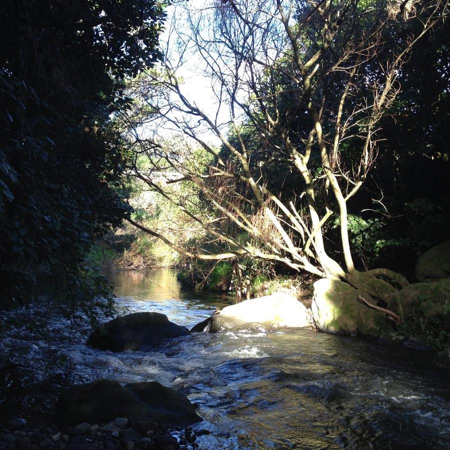 Punehu Stream Cottage Opunake Esterno foto